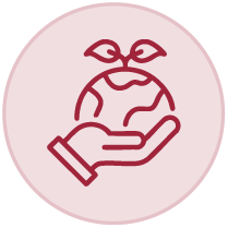 Governance icone sustainability
